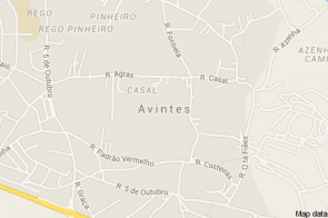 Avintes