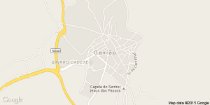 Gavião