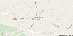 São Martinho de Anta