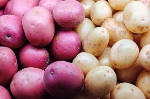 Nutrição