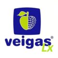 lx@veigas.eu